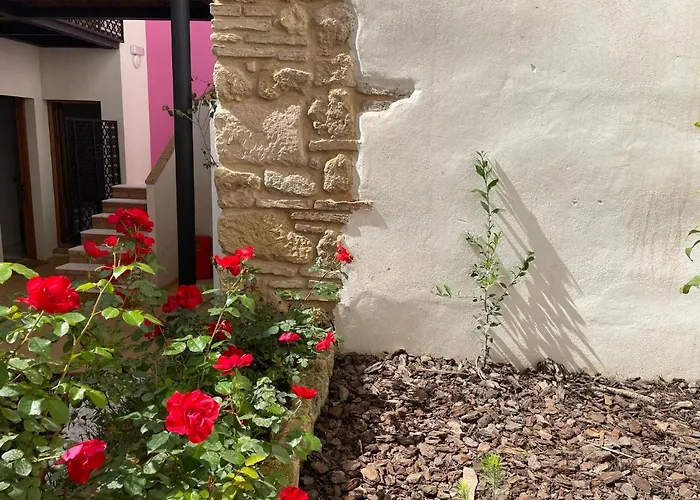 La Casa De La Escalera 2 아파트 *